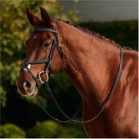 Rembourré Couronne Mono Fancy Stitch Grackle Bridle